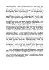 Asmens ir jo likimo išbandymas katastrofų laikotarpio literatūroje (Antanas Škėma, Salomėja Nėris, Balys Sruoga) 2 puslapis