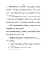 Klaipėdos valstybinės kolegijos bendrabučio įvaizdis 2 puslapis