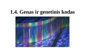 Genas ir genetinis kodas