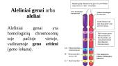 Genas ir genetinis kodas 3 puslapis