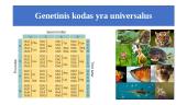 Genas ir genetinis kodas 6 puslapis