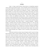 Knygų skaitymas šiuolaikiniame gyvenime 3 puslapis