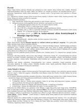 Geri istorijos konspektai 2 puslapis