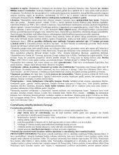 Geri istorijos konspektai 11 puslapis