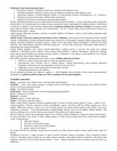 Geri istorijos konspektai 3 puslapis