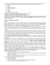 Geri istorijos konspektai 4 puslapis