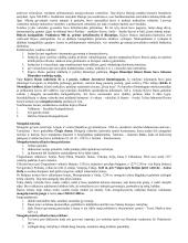 Geri istorijos konspektai 6 puslapis