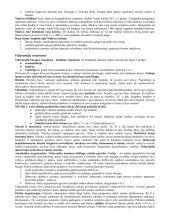 Geri istorijos konspektai 7 puslapis