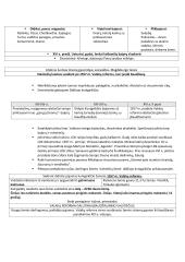 LDK formavimas (iki XV am. pabaigos)  7 puslapis