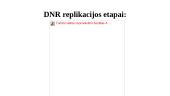DNR dvigubėjimas (replikacija) 8 puslapis