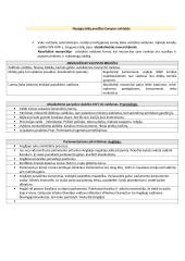 Apšvietos Europoje laikai 2 puslapis