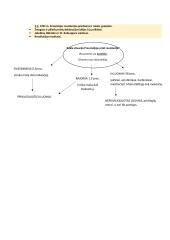 Apšvietos Europoje laikai 3 puslapis