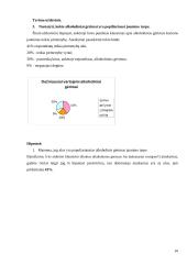 Kokią vietą jauno žmogaus gyvenime užima alkoholis? 13 puslapis