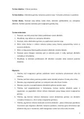 Kokią vietą jauno žmogaus gyvenime užima alkoholis? 3 puslapis