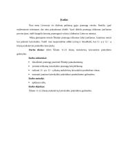 Laisvalaikio praleidimo galimybės: 11-12 klasių moksleiviai 2 puslapis