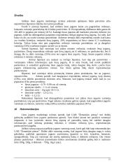 Lieso jogurto marketingo tyrimo plano parengimas ir marketingo tyrimo atlikimas 15 puslapis