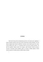 Psichologija, konflikto analize 2 puslapis