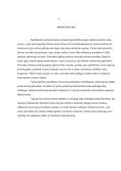 Marketingo ir rinkos tyrimai: kaimo turizmas 7 puslapis