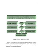 Marketingo tyrimai internete 4 puslapis