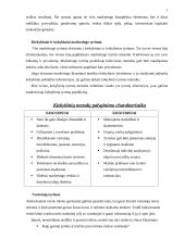 Marketingo tyrimai internete 7 puslapis