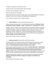 Trumpas autorių konspektas 2 puslapis