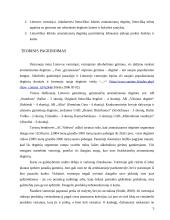 Marketingo tyrimas: aromatizuotos degtinės kilmės šalies svarba Lietuvos vartotojų pasirinkimui 3 puslapis