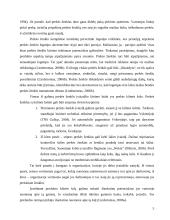 Marketingo tyrimas: aromatizuotos degtinės kilmės šalies svarba Lietuvos vartotojų pasirinkimui 5 puslapis