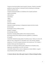 Marketingo tyrimas: draudimo kompanija UAB "PZU Lietuva" 3 puslapis