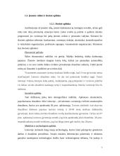 Marketingo tyrimas: draudimo kompanija UAB "PZU Lietuva" 6 puslapis