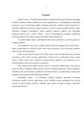 Marketingo tyrimas: duonos rinka Alytaus apskrityje 2 puslapis