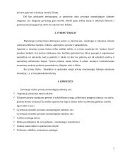 Marketingo tyrimas: stomatologinis kabinetas 3 puslapis