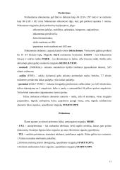 Radio ryšio organizavimas policijoje 11 puslapis