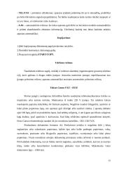 Radio ryšio organizavimas policijoje 12 puslapis