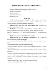 Radio ryšio organizavimas policijoje 6 puslapis