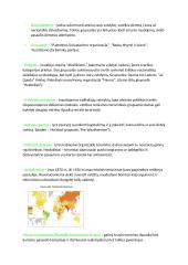 Karų ir konfliktų geografija 3 puslapis