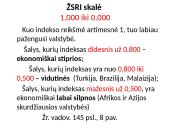 Valstybių ekonominės galios skirtumai 12 puslapis