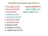 Valstybių ekonominės galios skirtumai 14 puslapis