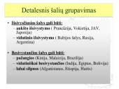 Valstybių ekonominės galios skirtumai 4 puslapis