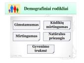 Valstybių ekonominės galios skirtumai 7 puslapis