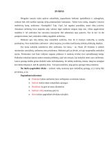 Mokinių požiūris į mokyklinę aprangą 2 puslapis