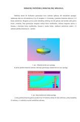 Mokinių požiūris į mokyklinę aprangą 13 puslapis