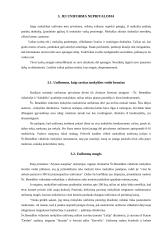 Mokinių požiūris į mokyklinę aprangą 7 puslapis