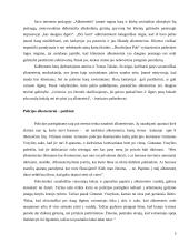 Monetiniais alkotesteriais pasitikėti neverta 5 puslapis