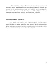 Monetiniais alkotesteriais pasitikėti neverta 6 puslapis