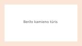 Beržo kamieno tūris 