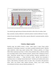 Nedarbo problemas Lietuvoje: bedarbystę aptariant kaip socialinį reiškinį 19 puslapis