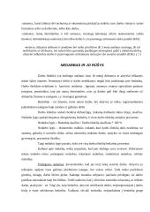 Nedarbo problemas Lietuvoje: bedarbystę aptariant kaip socialinį reiškinį 3 puslapis