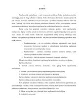 Nepilnamečių nusikaltimų socialiniai veiksniai 3 puslapis