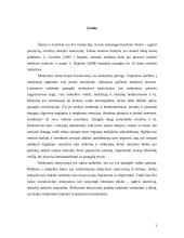 Nesugebėjimo mokytis priežasčių tyrimas ir konkrečių rekomendacijų suformulavimas 2 puslapis