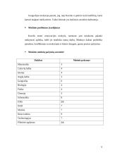 Nesugebėjimo mokytis priežasčių tyrimas ir konkrečių rekomendacijų suformulavimas 5 puslapis